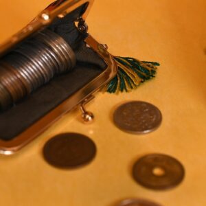 小さな口金ポーチ